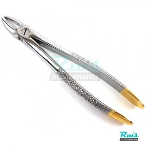 Extracting Forceps Nr. 1 Tooth Root Jaw Molars Dental Oral Extraction Pliers