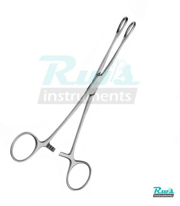 sponge forceps