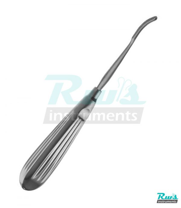 Aufricht Nasal Rasp crosscut